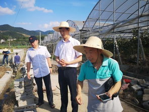 水產(chǎn)養(yǎng)殖災(zāi)后恢復(fù)技術(shù)指導(dǎo) 浙江磐安、德清兩地行